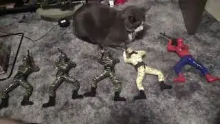 MAH01989 crawling soldiers and cat