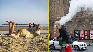Photos Taken At Just The Right Moment - Part 2