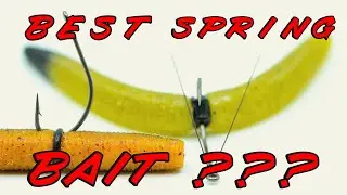 How To Fish A Senko: Everything You Need To Know!