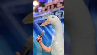 Never judge a Duck by it's cover...