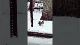 Memes compilation 10