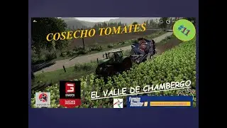 VALLE DE CHAMBERGO#PARTIDA{PS4} 