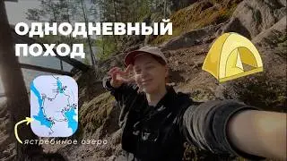 мы встретили КАБАНА | однодневный поход