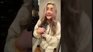 Chinchilla compilation 