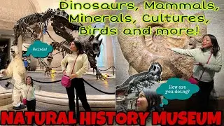 VISITING NATURAL HISTORY MUSEUM IN LOS ANGELES