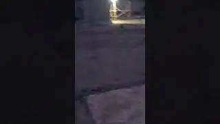 малинкы собака 2🐕