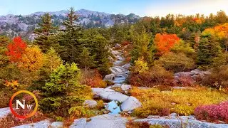 Autumn Sunrise Hike Up Mount Monadnock, NH | Fall Foliage | ASMR Nature Sounds for Relaxation
