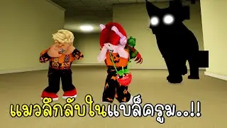 พี่ฝนพี่เอกปุ๊กปิ๊กเจอแมวลึกลับในแบล็ครูม Roblox Kitten Game 🐾