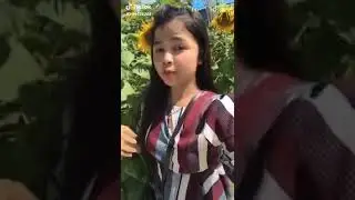 ស្រីស្អាតក្នុង Tik Tok Best khmer Tik Tok. Video collection 2019/EP06S