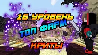 16 ЛВЛ | ТОПОВЫЙ ФАРМ | КРИТИЧЕСКИЕ УДАРЫ | Vimeworld Prison