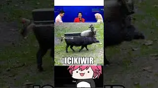 MEME REVIEW #62