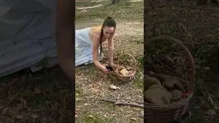 Сказочные приключения