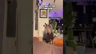 Joy stands up to her mama 
