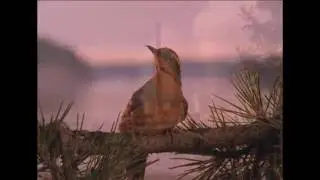 OFFICIAL TWIN PEAKS SEASON 3 OPENING LEAK