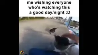 Me wishing everyone who's watching this a good day/night | meeowTV