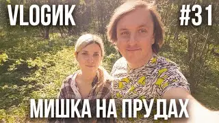 VLOGик#31. БАЗА ОТДЫХА "МИШКА НА ПРУДАХ". РЫБАЛКА. ОТДЫХ НА ПРИРОДЕ.