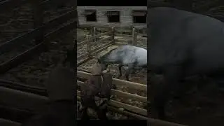 Arthur Morgan's Help Of A Dying Horse - 