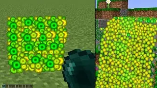 what inside xp?