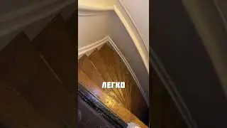 АМЕРИКАНСКИЕ ГОРКИ