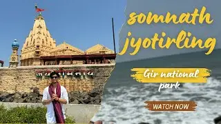 Somnath Jyotirling 🕉️ | 12 jyotirling yatra 🙏🏻| Gir National Park 🤯Gujrat | #shiv #somnath #gujrat