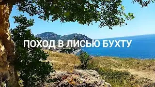 Походы по Крыму в Лисьей бухте. Встреча с другом. Кафе 