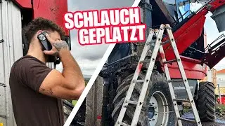 Wenn's gut läuft, läuft was schief 🛠🍇🚜 ERNTEVLOG #3