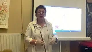 Пот как симптом проблем в организме и методы самопомощи. [Шишова О.И.]