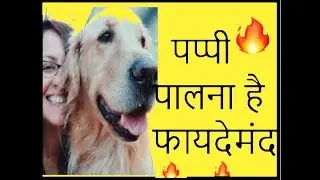 puppy  is beneficial  palna 🐕🐕🐕🐕🐕