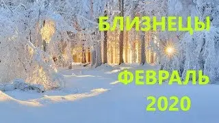 БЛИЗНЕЦЫ. СКАЗОЧНЫЙ ФЕВРАЛЬ 2020 ТАРО ПРОГНОЗ