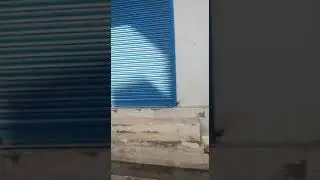 Jai Mata Di