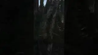 Hunt Shodwdown / Cybersport Oh Baby A Triple #huntshowdown #huntshowpvp #pvp