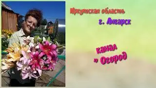 Лунный календарь на  июль 2021 г.