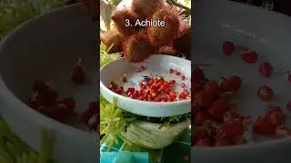 Top 5 Strangest Fruit #9