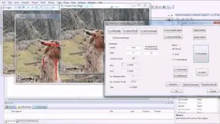 Interactive Image Segmentation using Graph Cut
