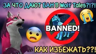ЗА ЧТО БАНЯТ В Wolf Tales?!?! КАК ИЗБЕЖАТЬ???