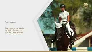 PAIN-OXX CEVA anti-inflamatório para Equinos