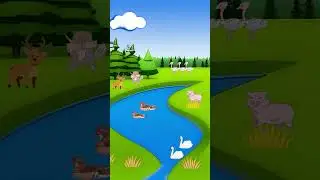 Forest Animation created in canva / Canva animation for free 