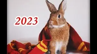 ОТЛИЧНОЕ НАСТРОЕНИЕ! ЗАРЯД ЕНЕРГИИ НА ВЕСЬ ГОД!