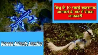 Unseen Animals Amazing Facts #shorts Facts
