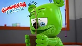Gummy Bear Show 6 