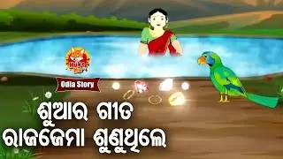 Shua Ra Gita Rajajema Sunuthile - ଶୁଆର ଗୀତ ରାଜଜେମା ଶୁଣୁଥିଲେ | Odia Moral Story  | Huke Hu TV