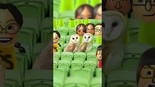Introducing the most accurate player in the tournament, Barn Owl. #baseball #wiisportsbaseball