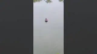 Fishing program