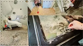CLEANING Motivation!