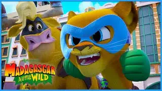 Alex Becomes a Movie Star | DreamWorks Madagascar