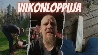 Sekavaa sinkoilua | onko ylivuotinen haapa kuivaa?