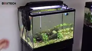 Boxtech Aquarium Cooling Fan