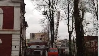 Спил деревьев СК Эмерком