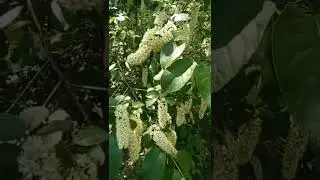 Тольятти ✌️✌️✌️🤙🔥🔥🔥