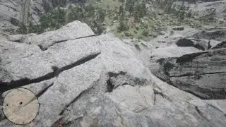 Red Dead Redemption 2 poor horse